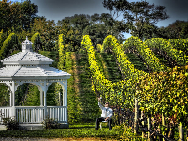 Selfie At Winery